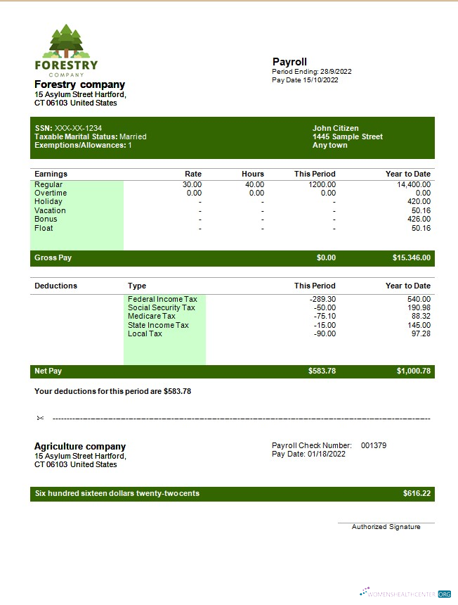 Download forestry company payslip template in Word and PDF formats Photoshop template